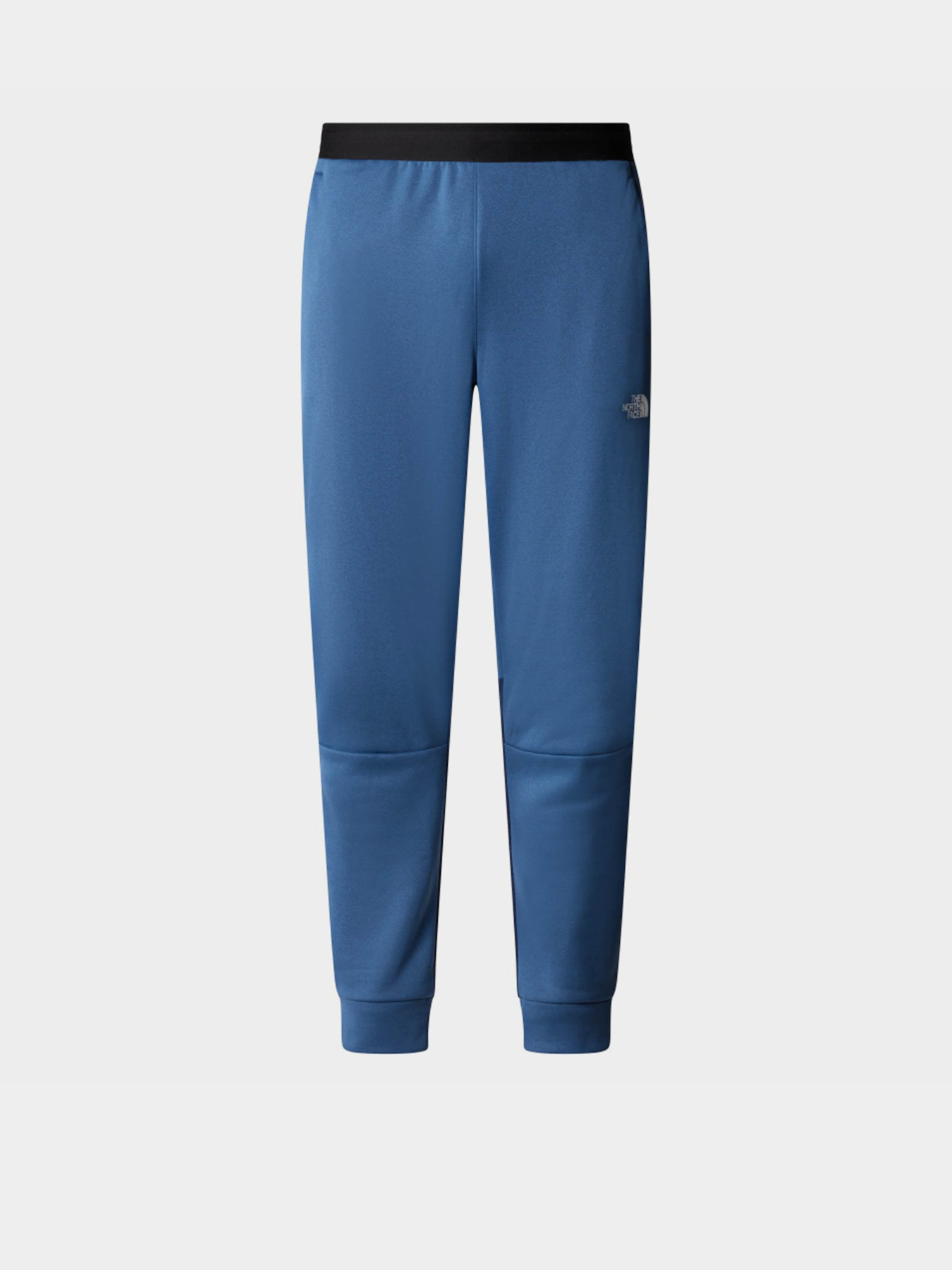 Спортивні штани The North Face Vectiv Enduris 3 модель NF0A893S9261 Фото