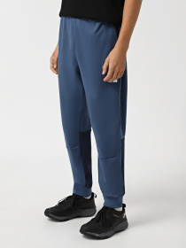 Спортивні штани The North Face Vectiv Enduris 3 модель NF0A893S9261 Фото