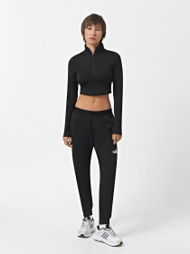 Штаны спортивные The North Face Mountain Athletics модель NF0A893WJK31 Фото