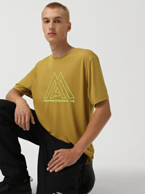 Футболка The North Face Mountain Athletics 24/7 модель NF0A893ZECJ1 Фото