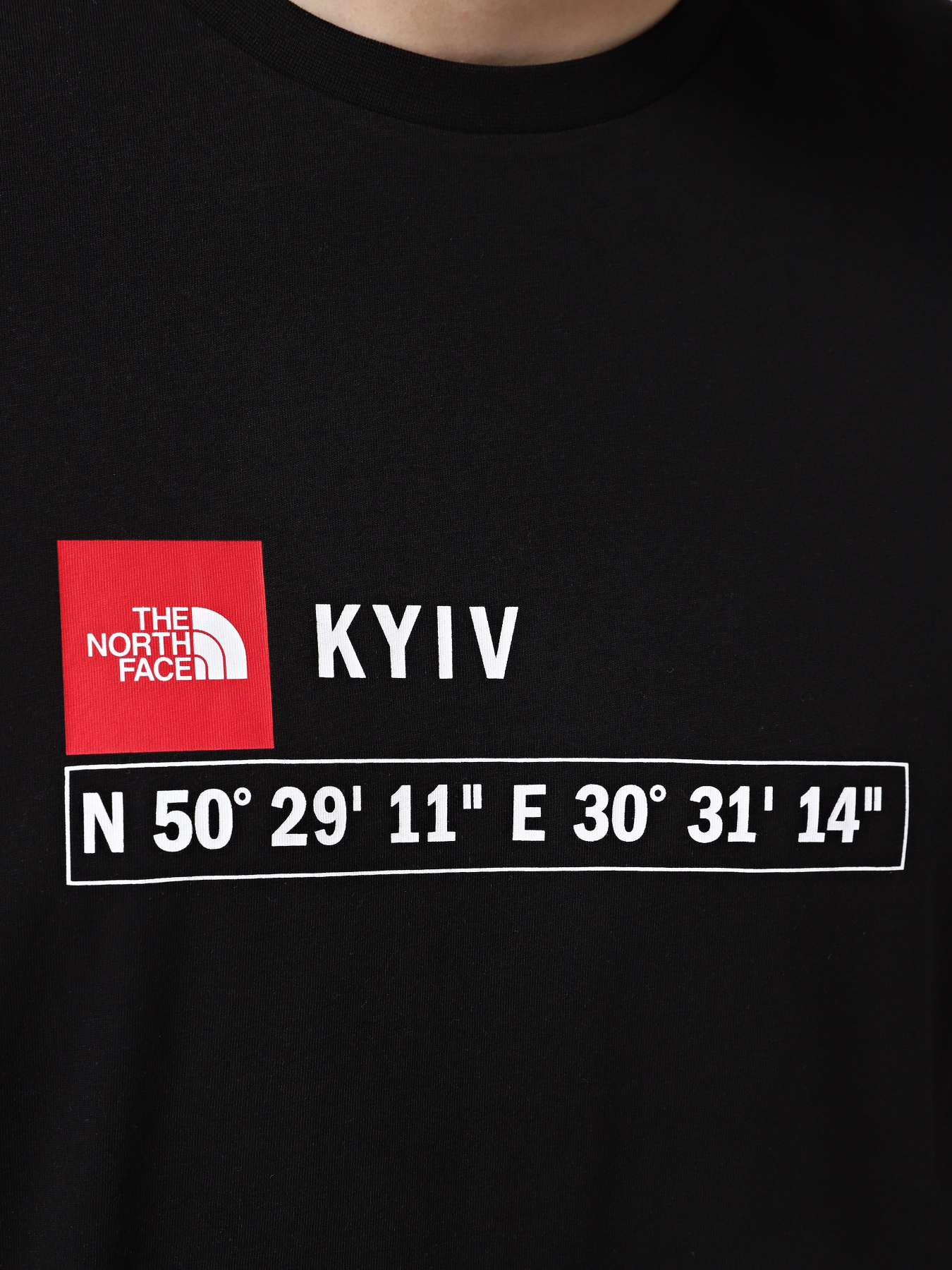 Футболка The North Face Kyiv модель NF0A8B3PJK31 Фото
