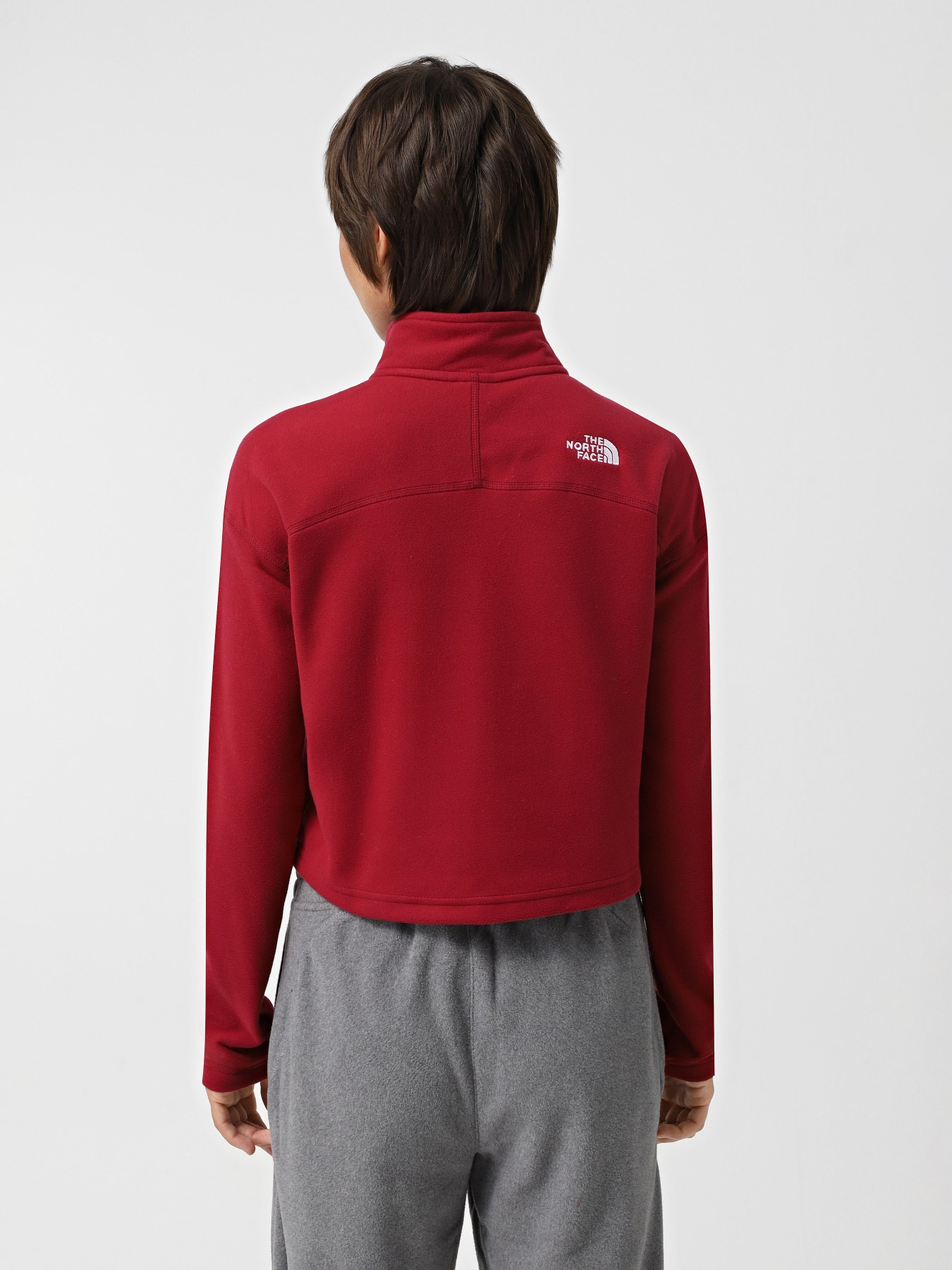 Кофта The North Face 100 Glacier Cropped 1/4 Zip Fleece модель NF0A855N1IX1 Фото