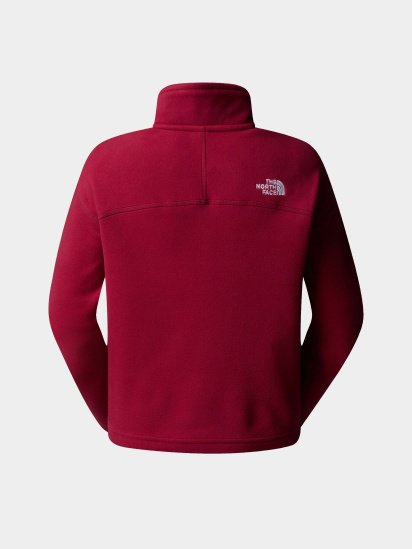 Кофта The North Face 100 Glacier Cropped 1/4 Zip Fleece модель NF0A855N1IX1 — фото 6 - INTERTOP