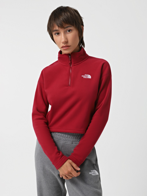 Кофта The North Face 100 Glacier Cropped 1/4 Zip Fleece модель NF0A855N1IX1 Фото
