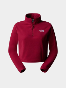 Кофта The North Face 100 Glacier Cropped 1/4 Zip Fleece модель NF0A855N1IX1 Кофта The North Face 100 Glacier Cropped 1/4 Zip Fleece модель NF0A855N1IX1 Фото