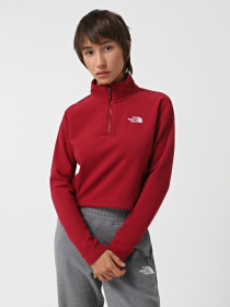 Кофта The North Face 100 Glacier Cropped 1/4 Zip Fleece модель NF0A855N1IX1 Кофта The North Face 100 Glacier Cropped 1/4 Zip Fleece модель NF0A855N1IX1 Фото