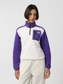 Кофта The North Face Yumiori 1/4 Zip Fleece модель NF0A88439IA1 Фото