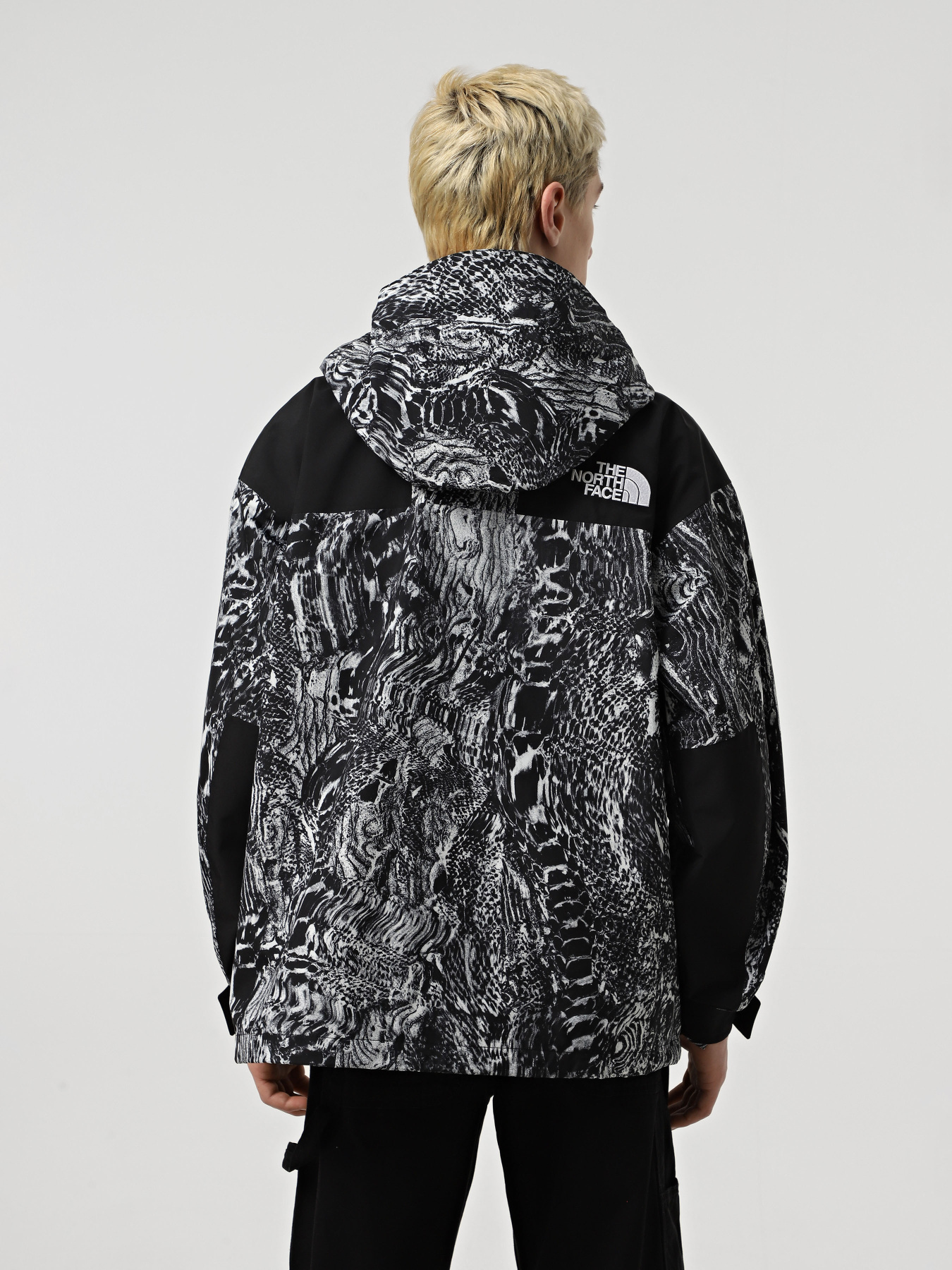 Демисезонная куртка The North Face GORE-TEX® Mountain модель NF0A831M8R51 Фото