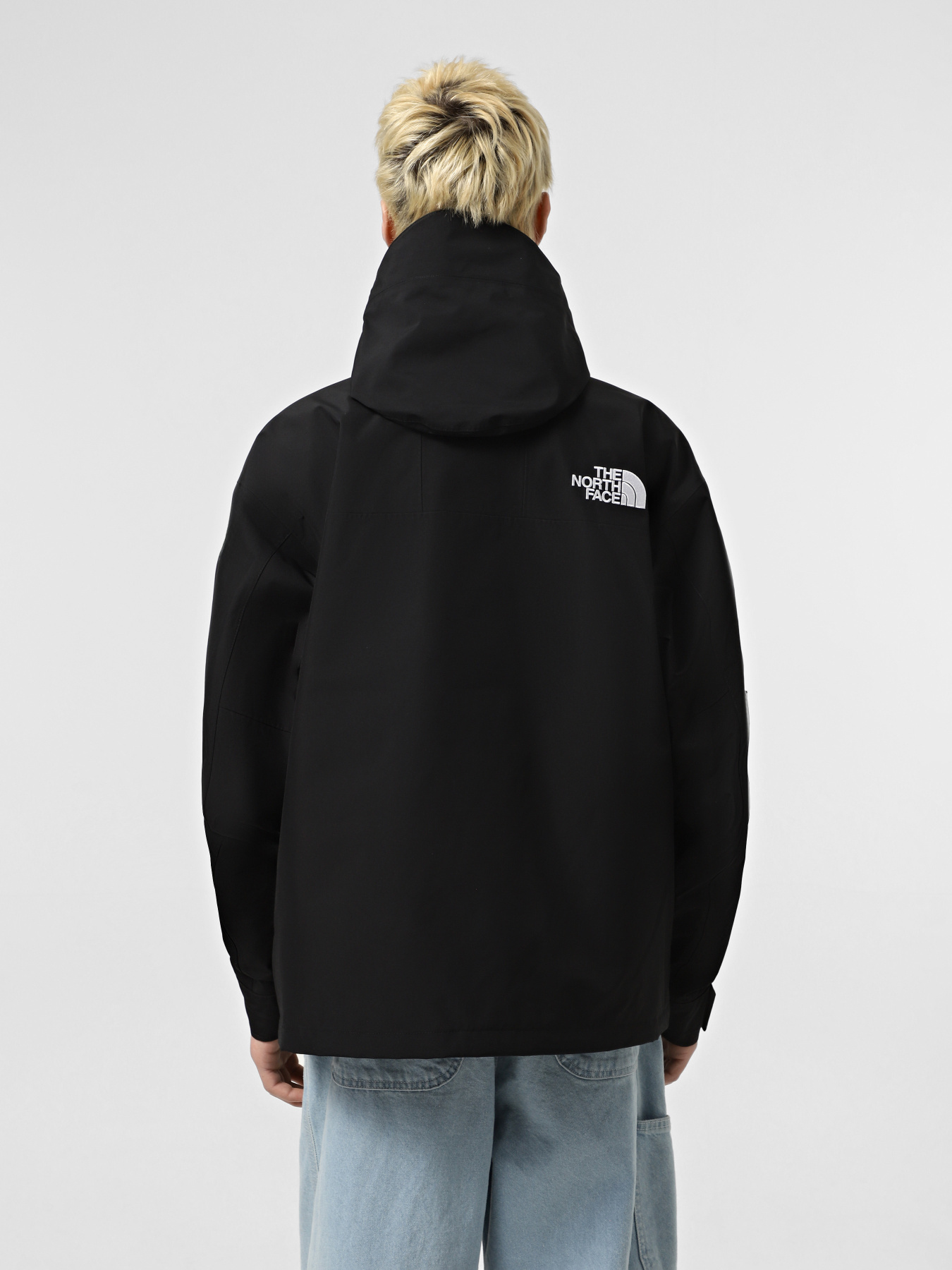 Демисезонная куртка The North Face GORE-TEX® Mountain модель NF0A831M57Y1 Фото