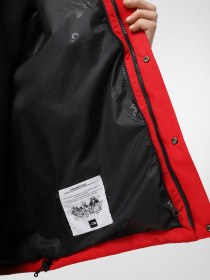 Ветровка The North Face Dryvent Mono Mountain модель NF0A88XFKZ31 Фото