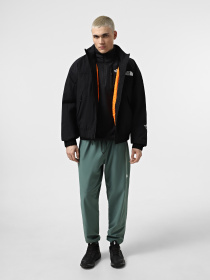 Демісезонна куртка The North Face Nse Insulated модель NF0A8BJKJK31 Фото