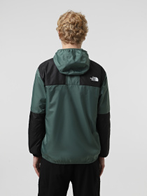 Ветровка The North Face Seasonal Mountain модель NF0A5IG3HCH1 Фото