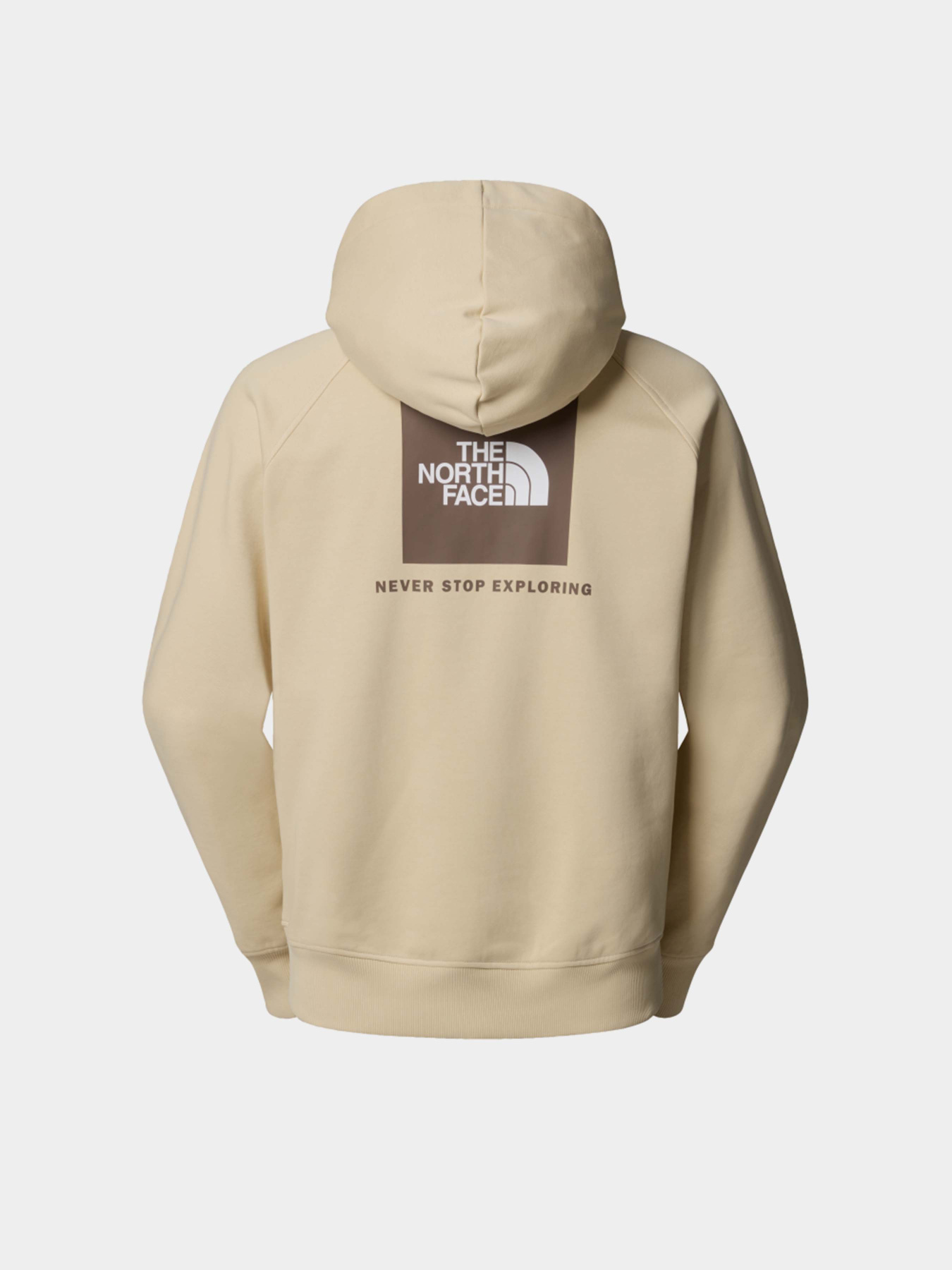 Худі The North Face Raglan Box Nse модель NF0A89F9B2O1 Фото