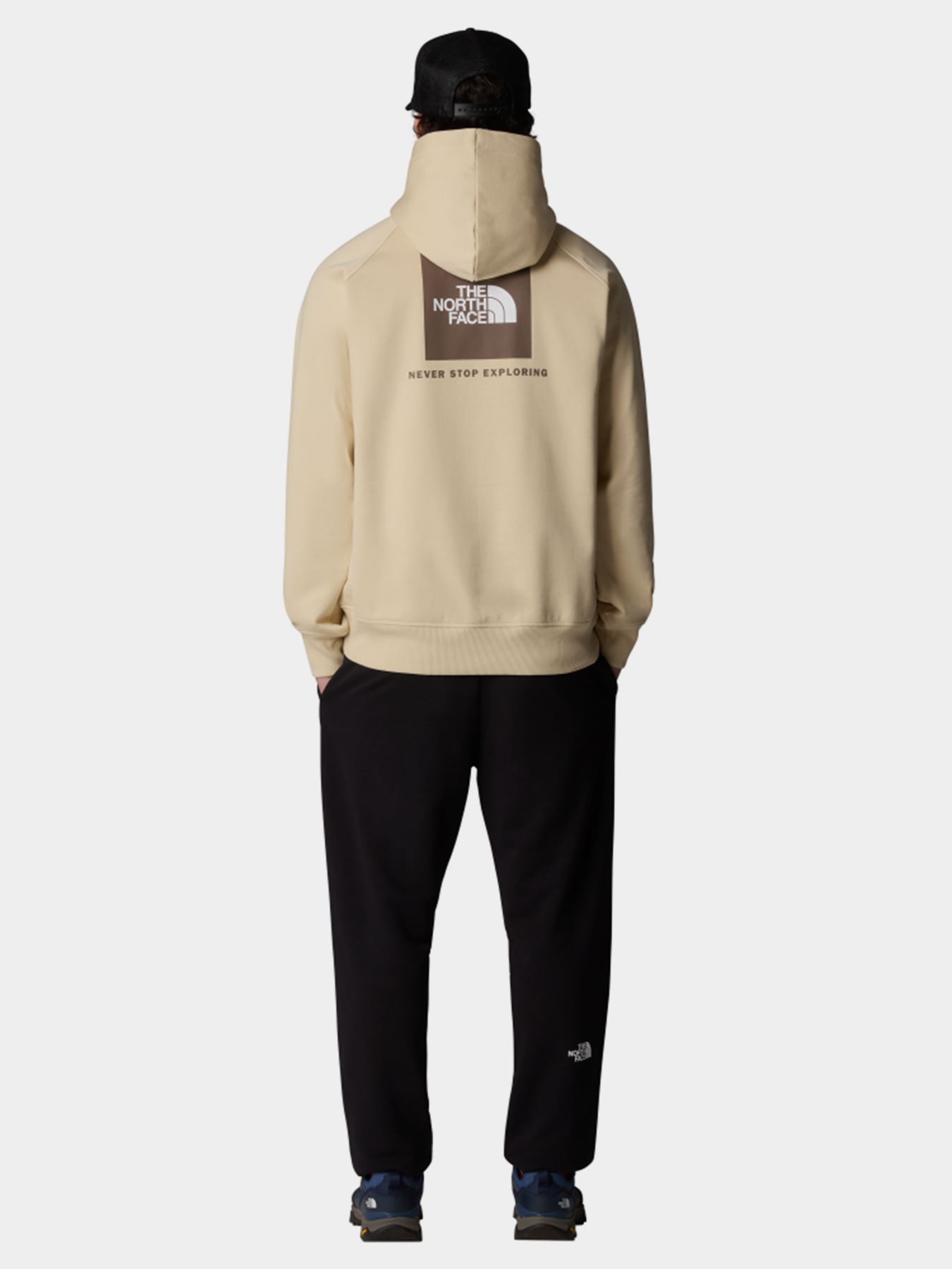 Худи The North Face Raglan Box Nse модель NF0A89F9B2O1 Фото