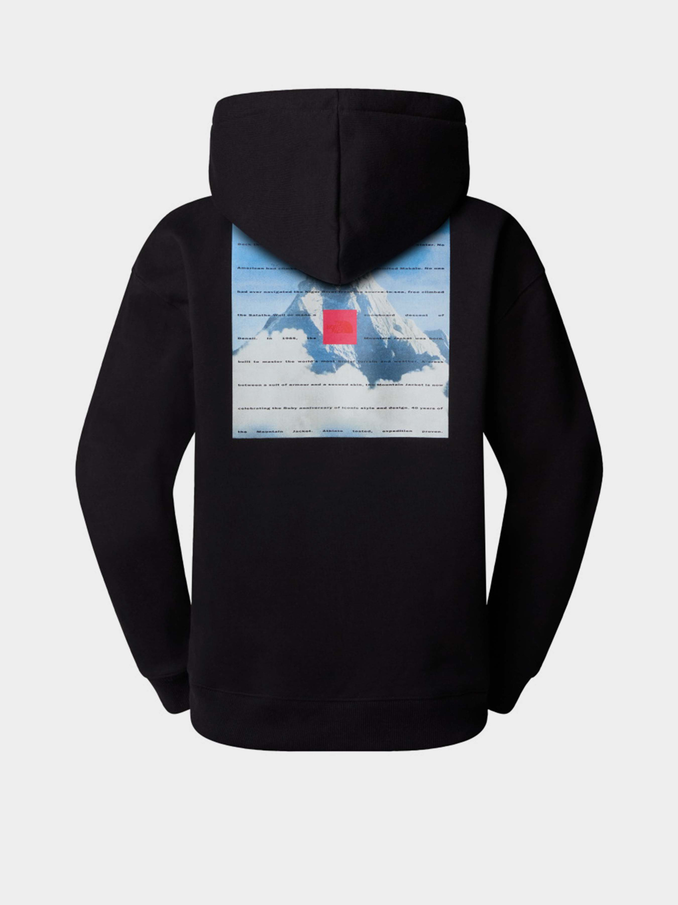 Худі The North Face Mountain 40th Anniversary Heavyweight модель NF0A8BXXJK31 Фото