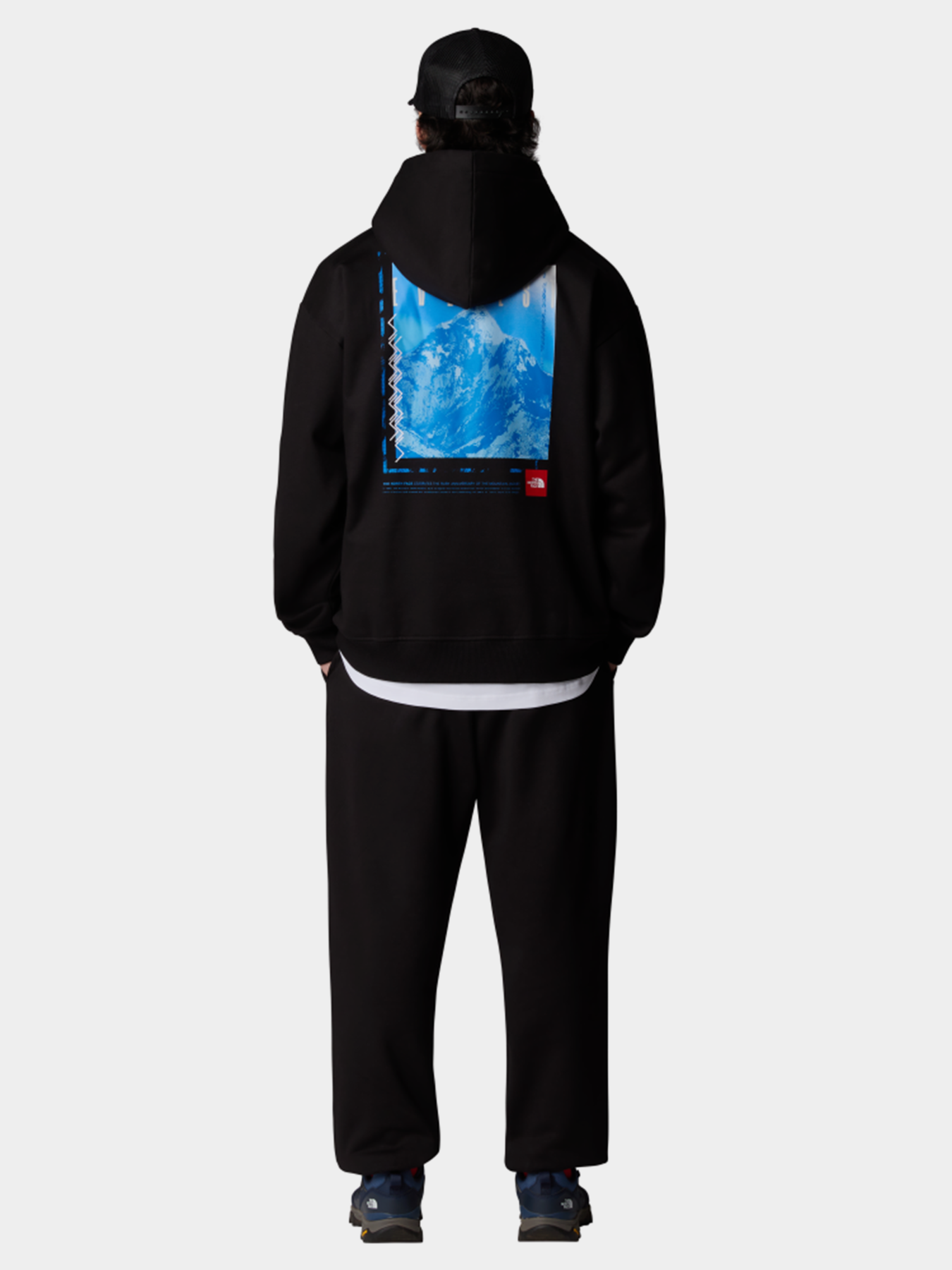 Худі The North Face Axys Oversized модель NF0A8C1QJK31 Фото