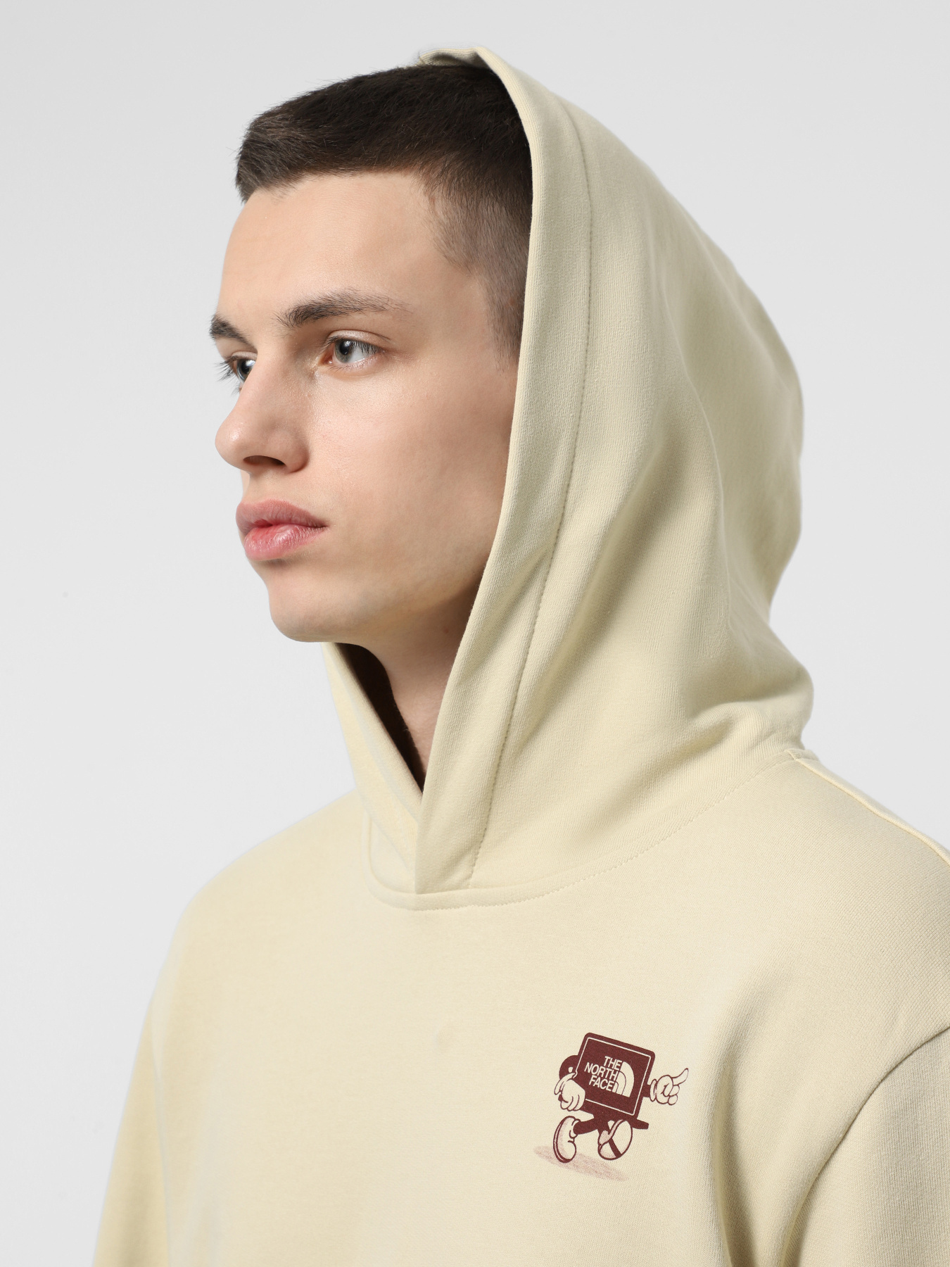 Худі The North Face Cartoon Logo Relaxed модель NF0A8C333X41 Фото