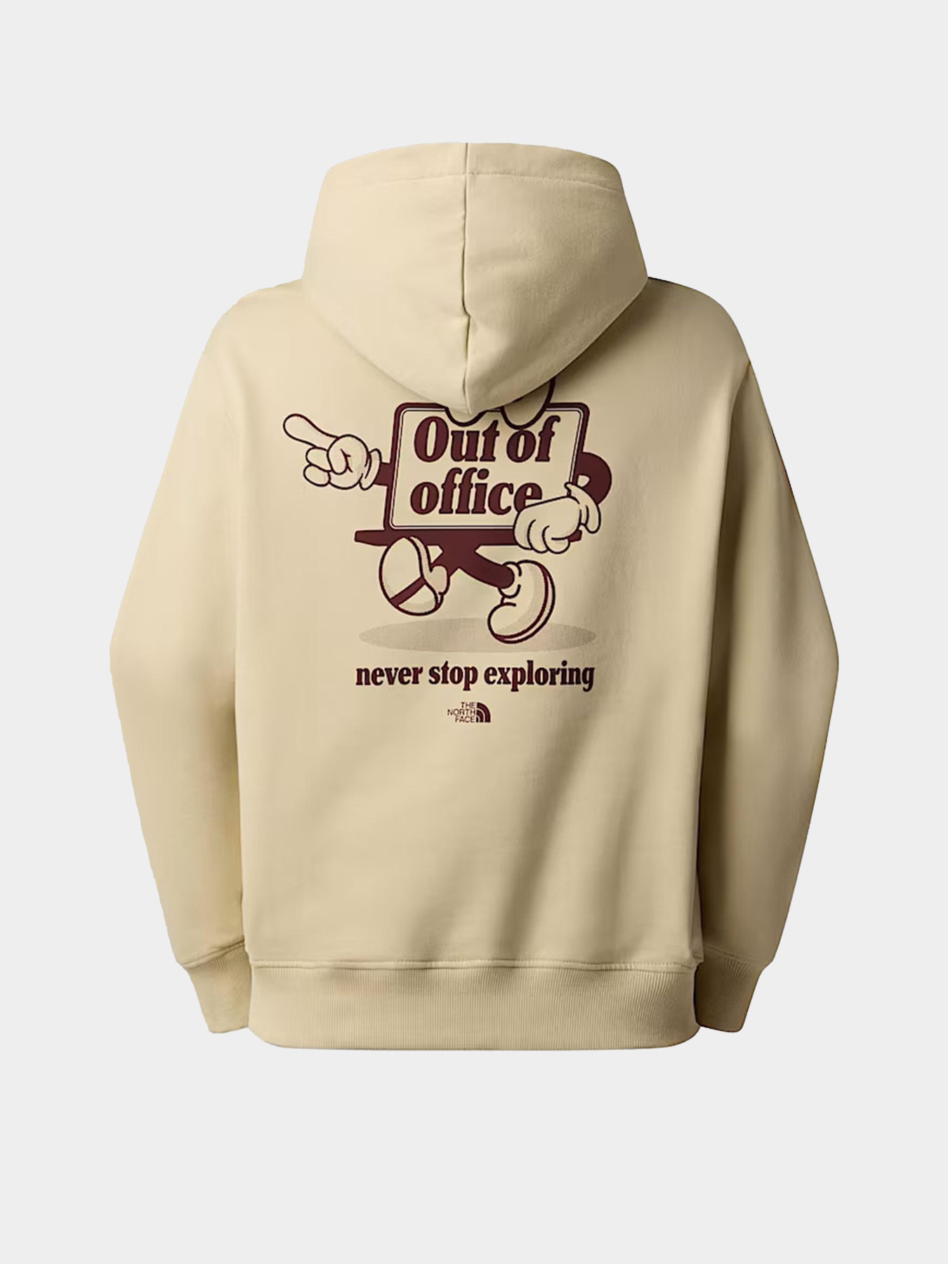 Худі The North Face Cartoon Logo Relaxed модель NF0A8C333X41 Фото