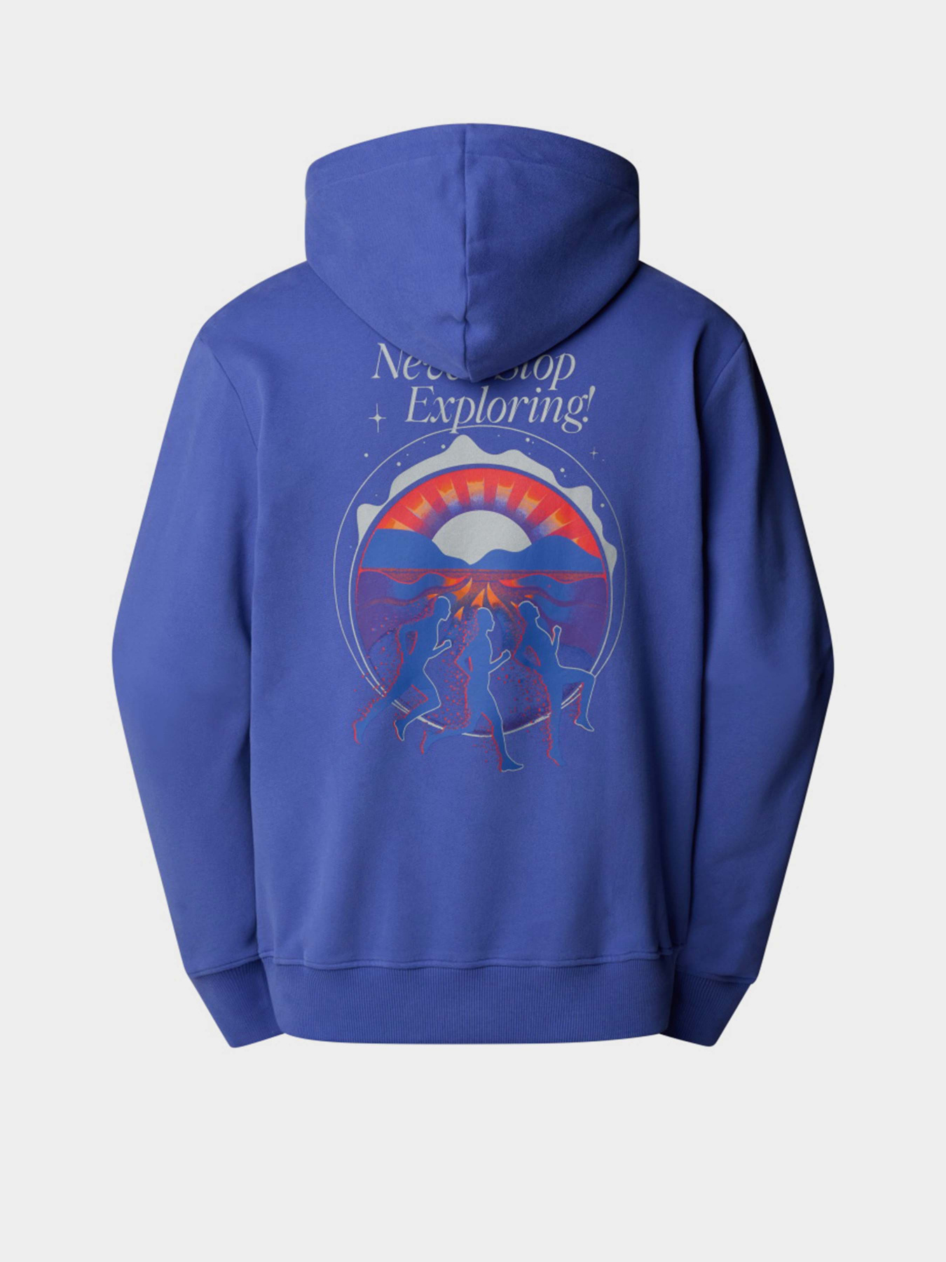 Худи The North Face модель NF0A8C3C6IF1 Фото