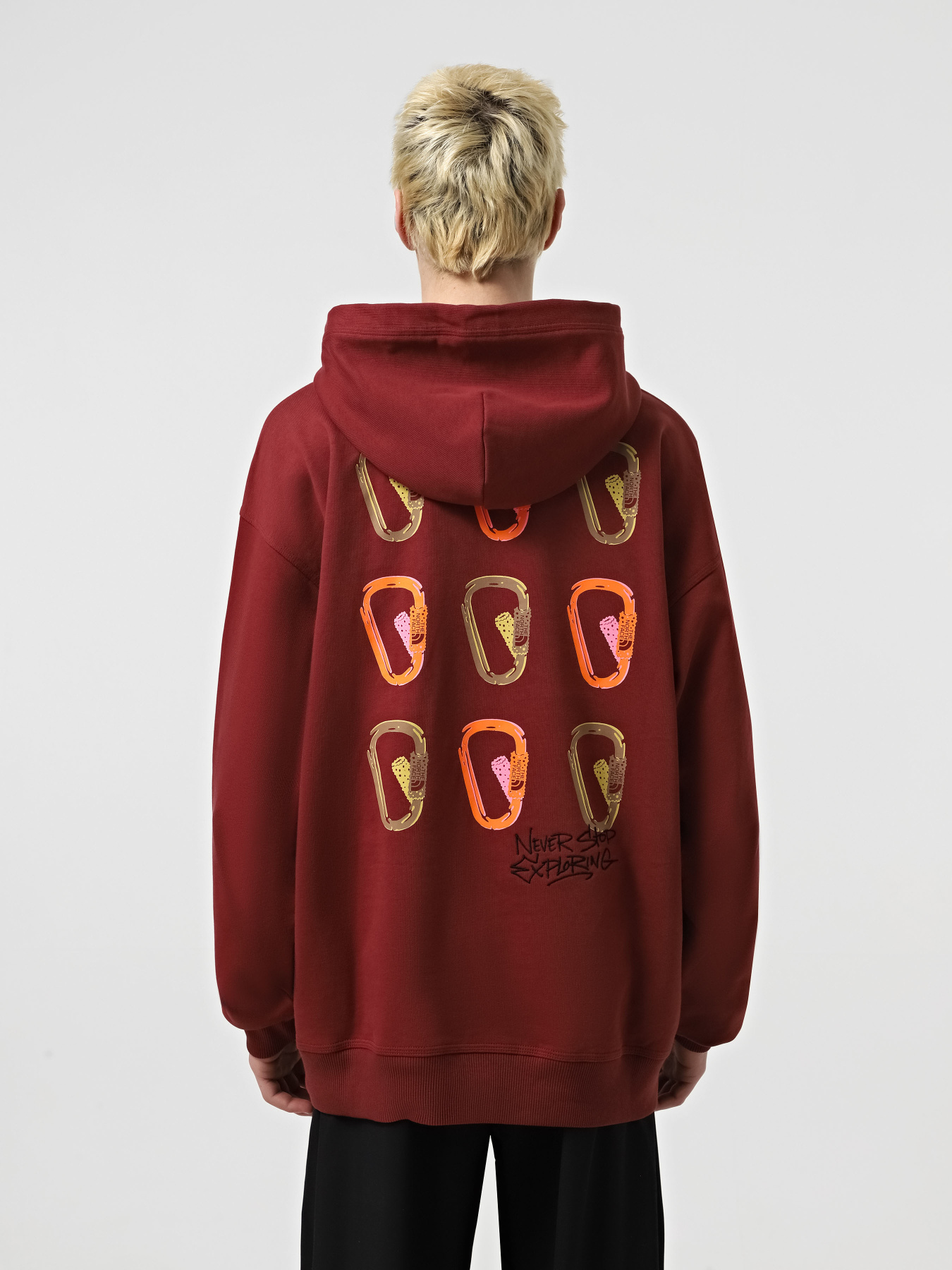 Худи The North Face Nse Oversized модель NF0A8C3V0VO1 Фото