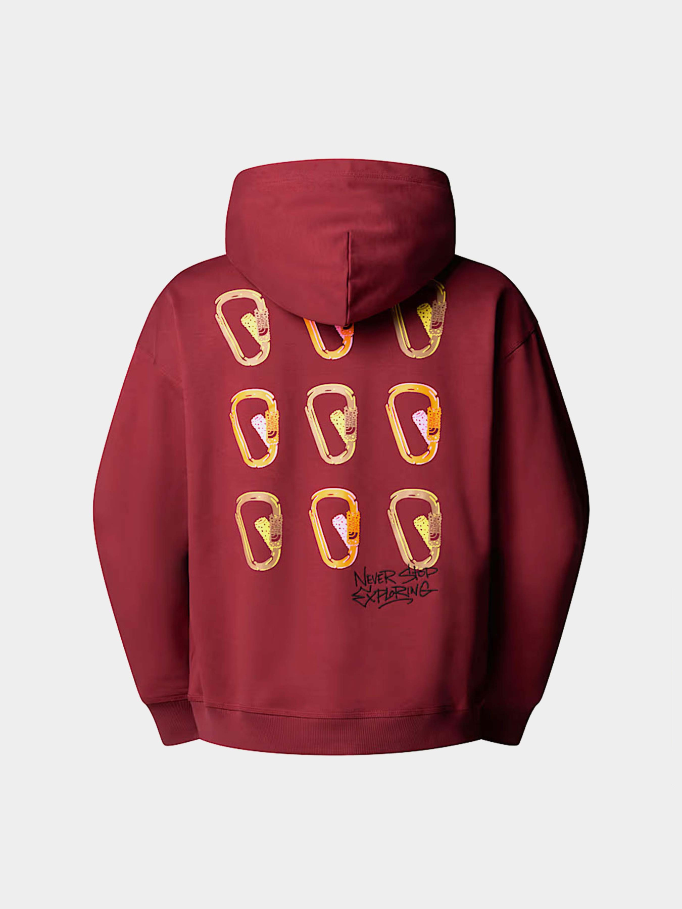 Худи The North Face Nse Oversized модель NF0A8C3V0VO1 Фото