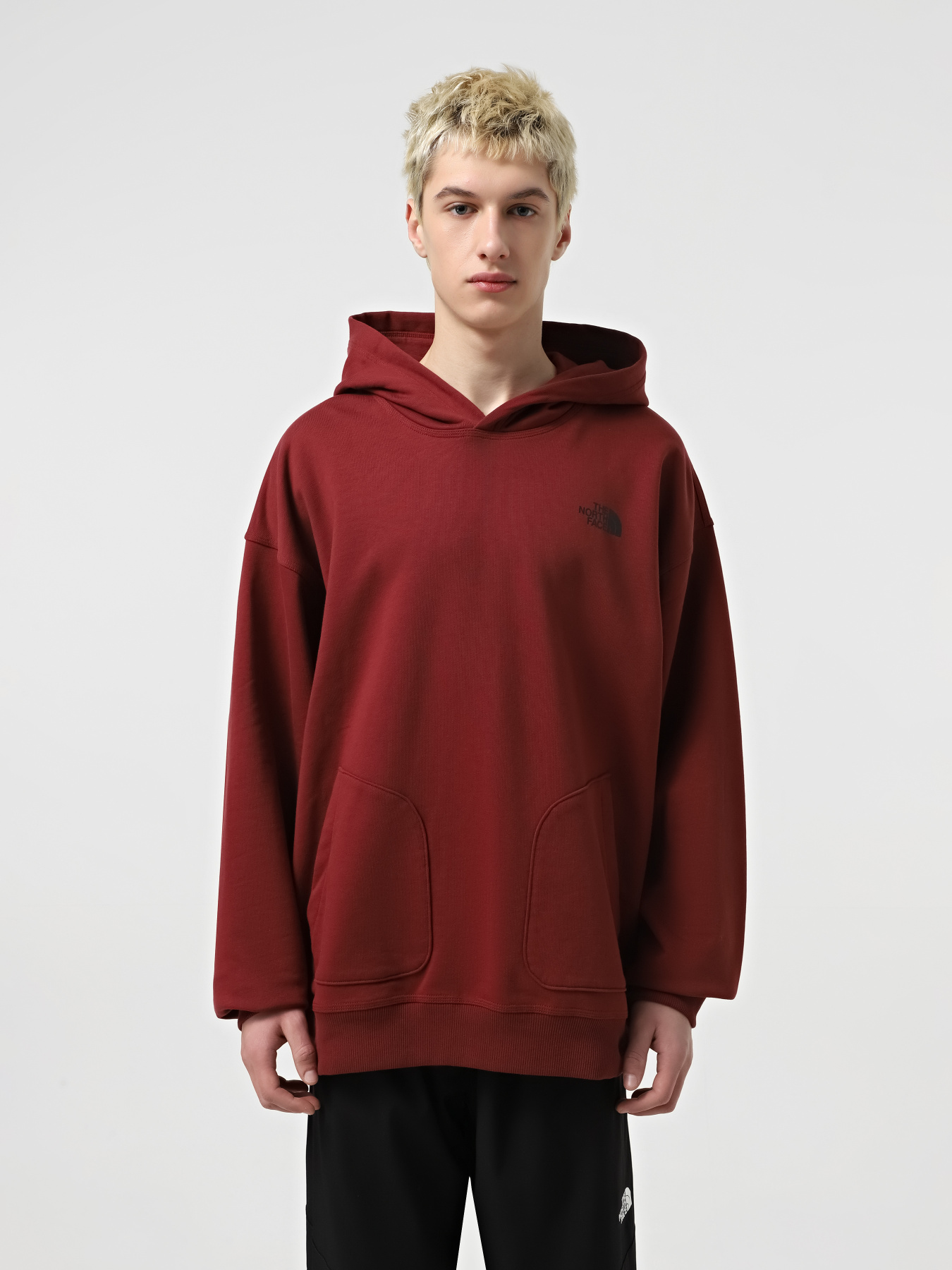 Худи The North Face Nse Oversized модель NF0A8C3V0VO1 Фото