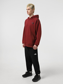 Худи The North Face Nse Oversized модель NF0A8C3V0VO1 Фото