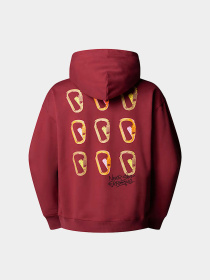 Худи The North Face Nse Oversized модель NF0A8C3V0VO1 Фото