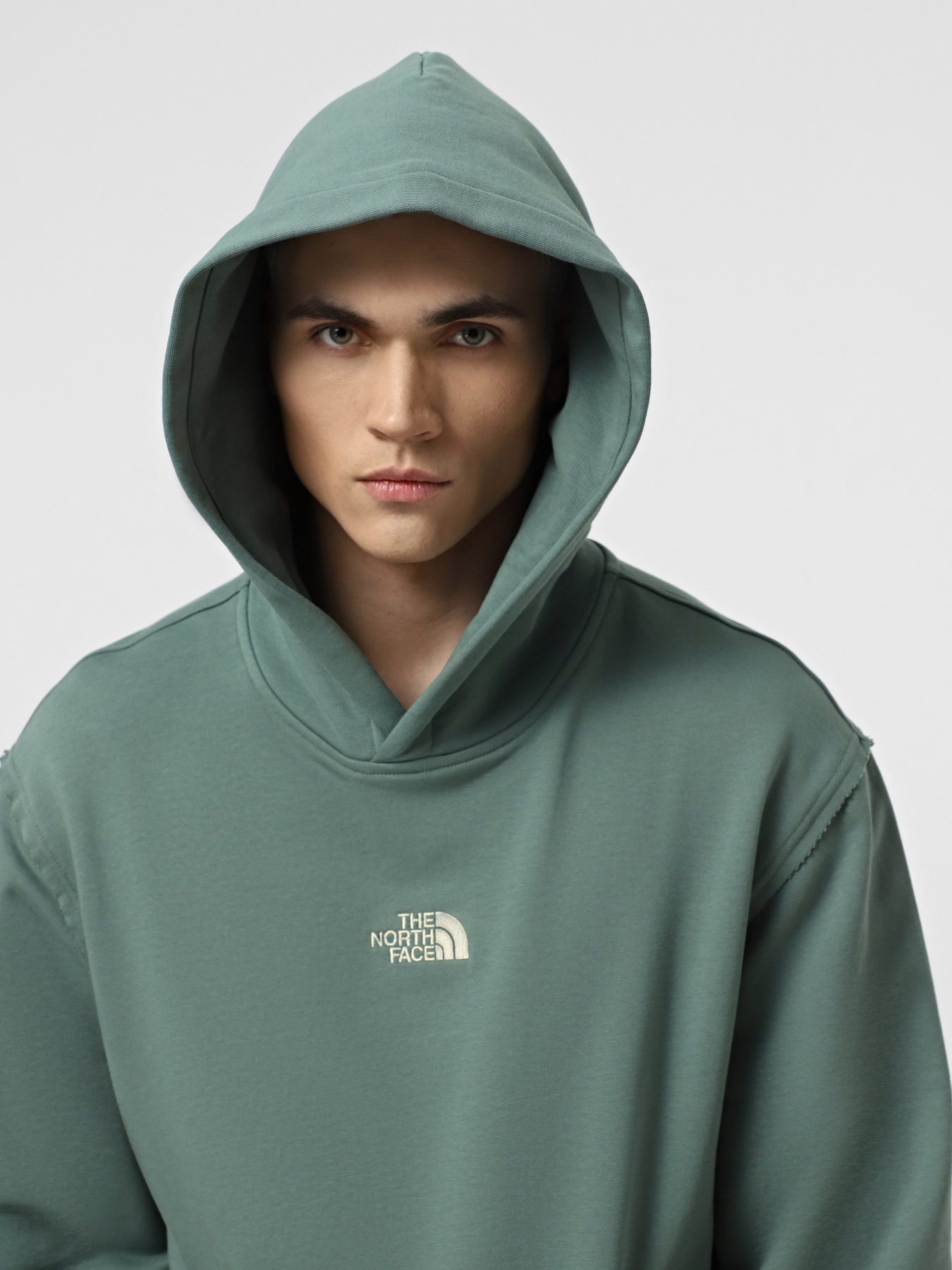 Худі The North Face Heritage Graphic Relaxed модель NF0A8C42HCH1 Фото