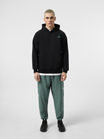 Худи The North Face Raglan Box Nse Tailgrid Infill модель NF0A8C4X9431 Фото