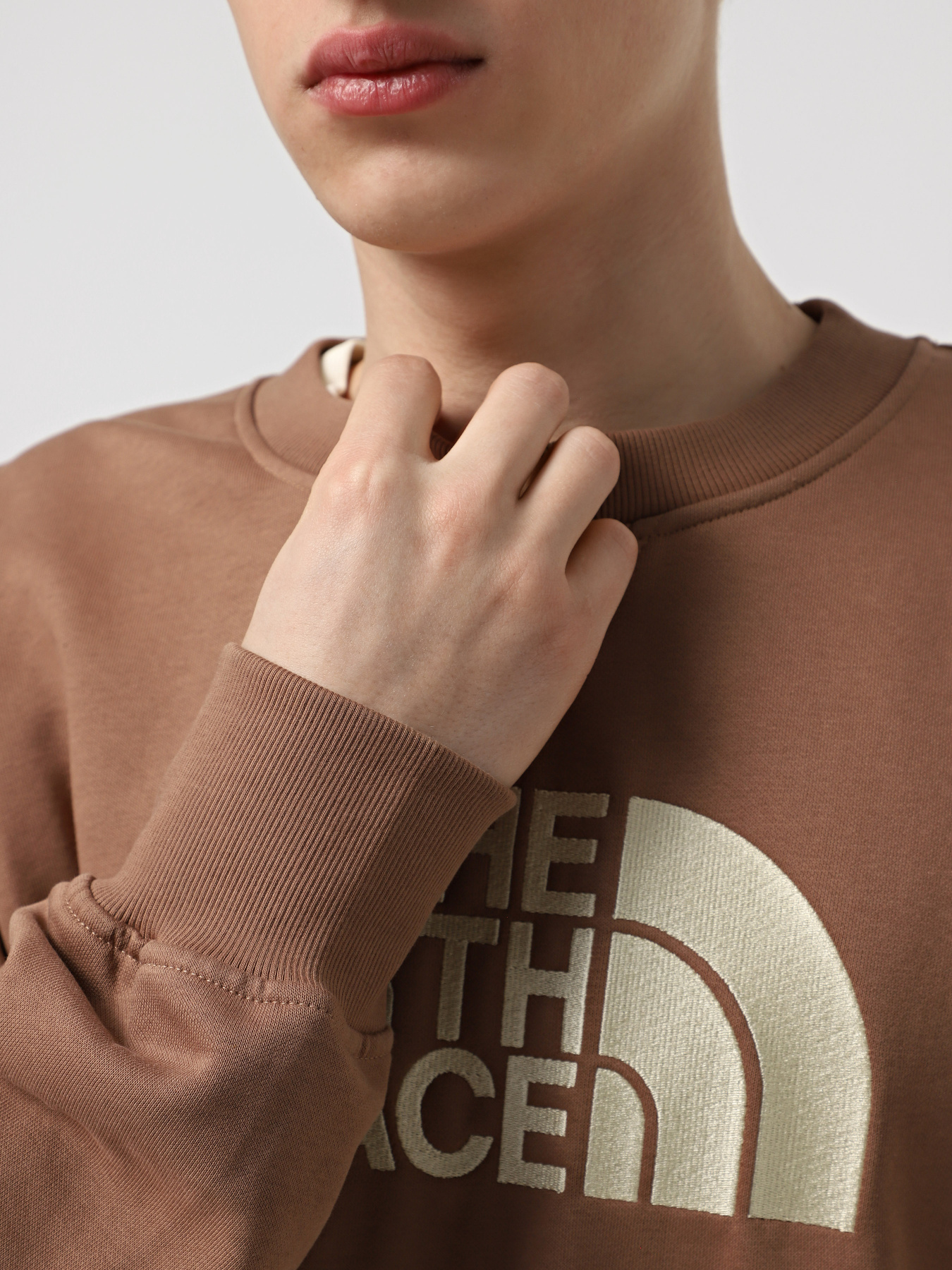 Світшот The North Face Drew Peak Crew модель NF0A89EKAR41 Фото