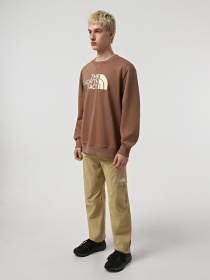 Світшот The North Face Drew Peak Crew модель NF0A89EKAR41 Фото