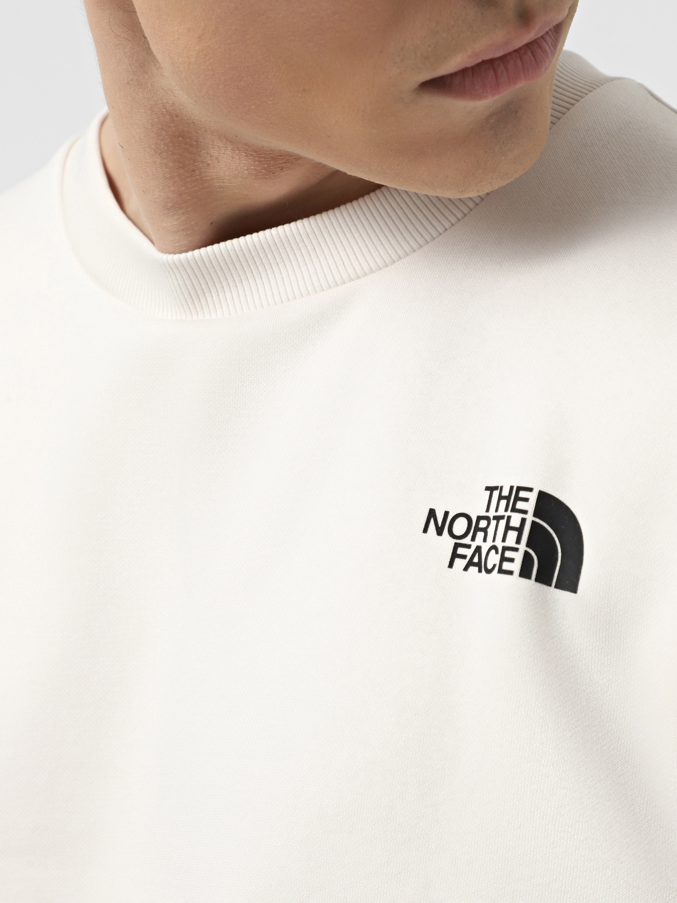 Світшот The North Face Simple Dome Crew модель NF0A89FBQLI1 Фото
