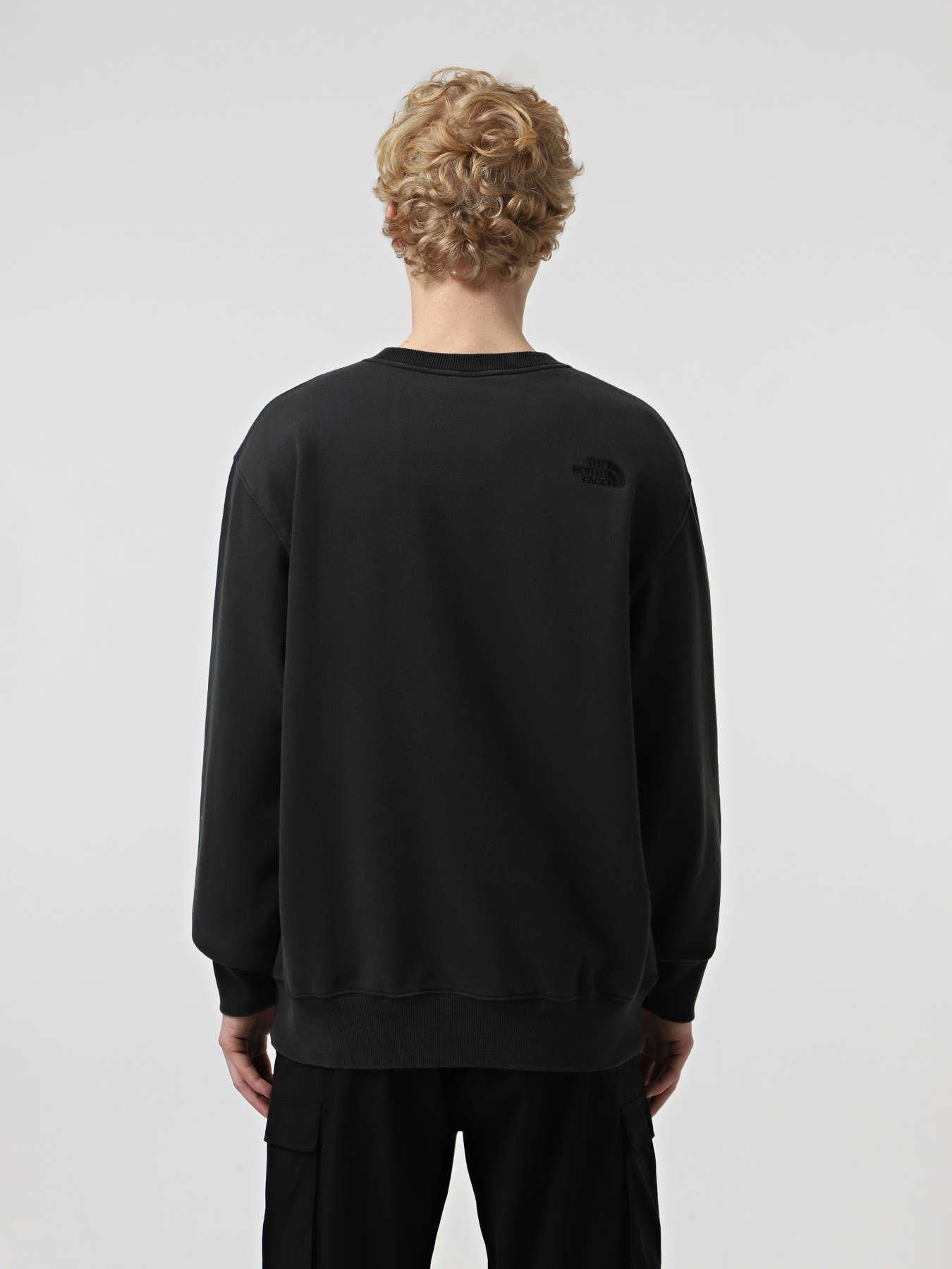 Свитшот The North Face Nature Relaxed Crew модель NF0A8BW0JK31 Фото