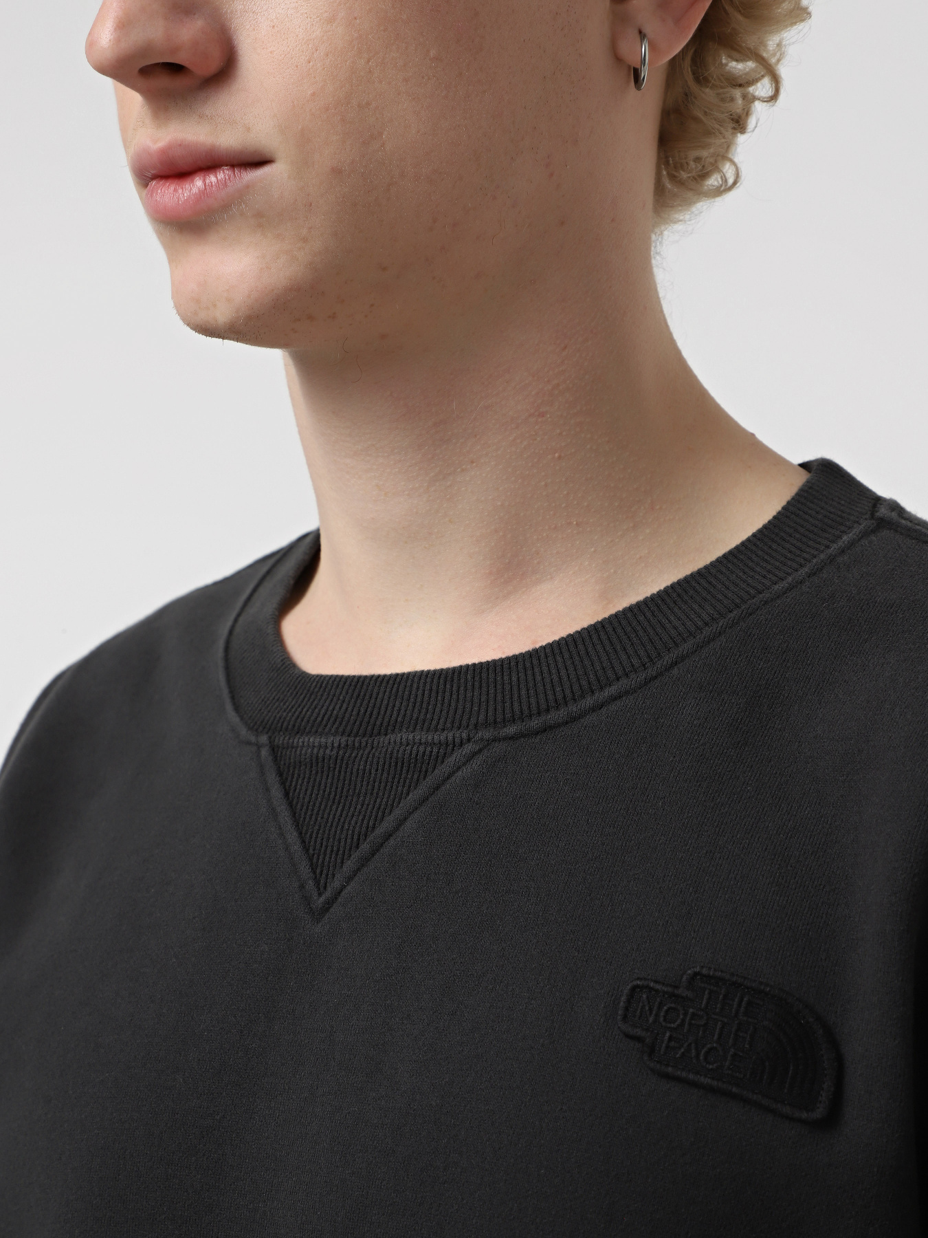 Свитшот The North Face Nature Relaxed Crew модель NF0A8BW0JK31 Фото