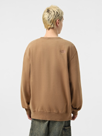 Свитшот The North Face Nature Relaxed Crew модель NF0A8BW06IH1 Фото