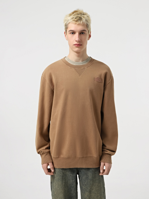 Худі та світшоти The North Face Nature Relaxed Crew модель NF0A8BW06IH1 Фото