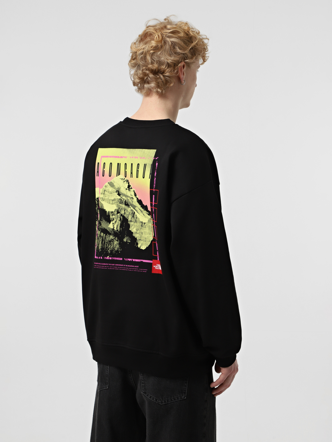 Світшот The North Face Axys Oversized Crew модель NF0A8C1SJK31 Фото