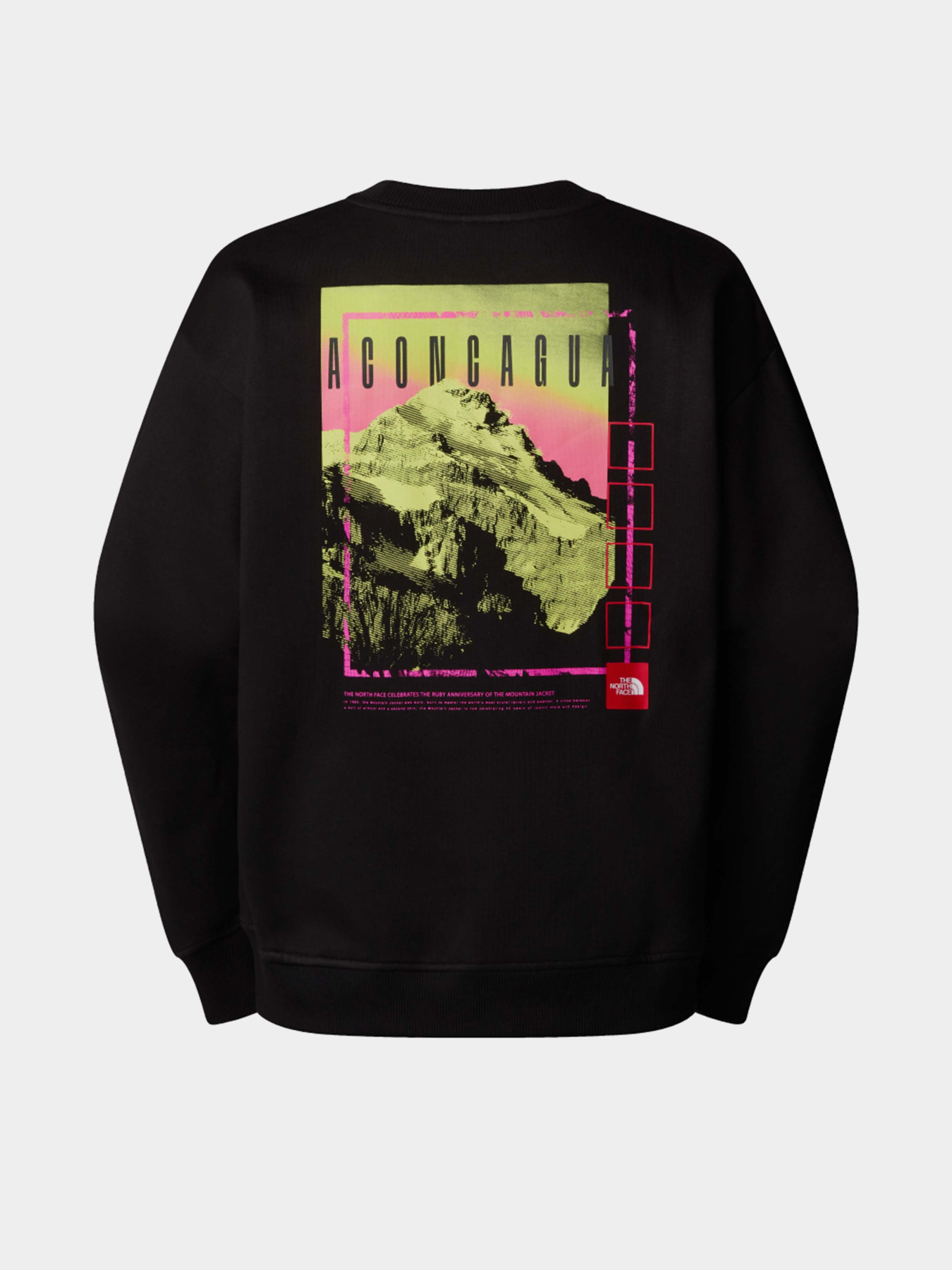 Світшот The North Face Axys Oversized Crew модель NF0A8C1SJK31 Фото