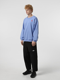 Світшот The North Face Axys Oversized Crew модель NF0A8C1S0YI1 Фото