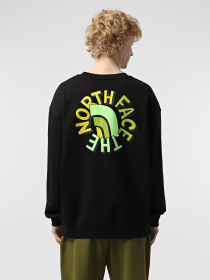 Світшот The North Face NSE Oversized Crew модель NF0A8C3UJK31 Фото