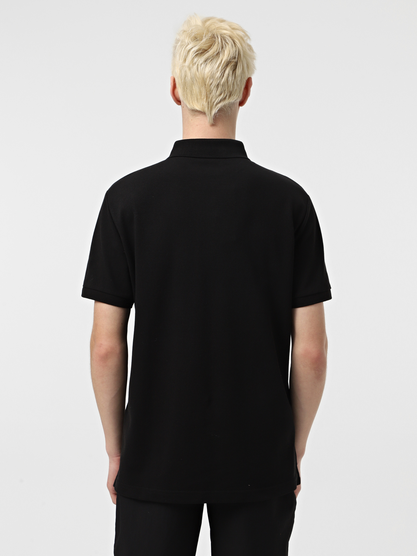 Поло The North Face Premium Slim модель NF0A8C1NJK31 Фото