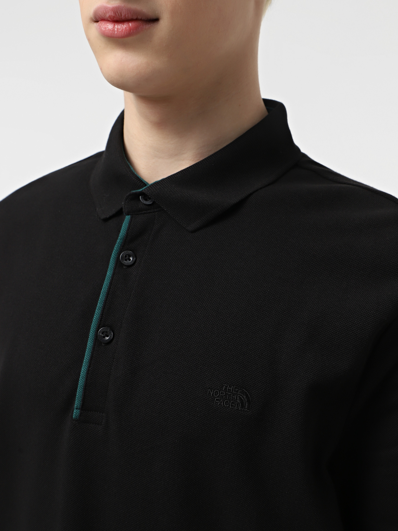 Поло The North Face Premium Slim модель NF0A8C1NJK31 Фото