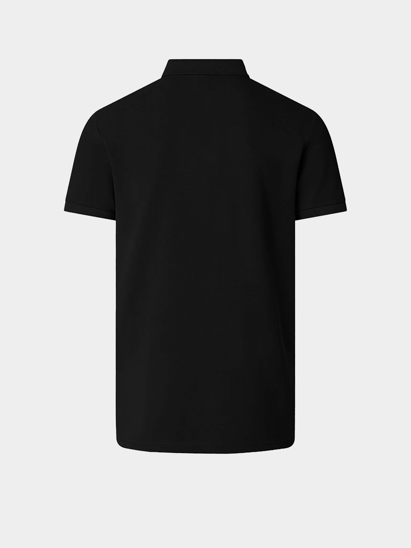 Поло The North Face Premium Slim модель NF0A8C1NJK31 Фото