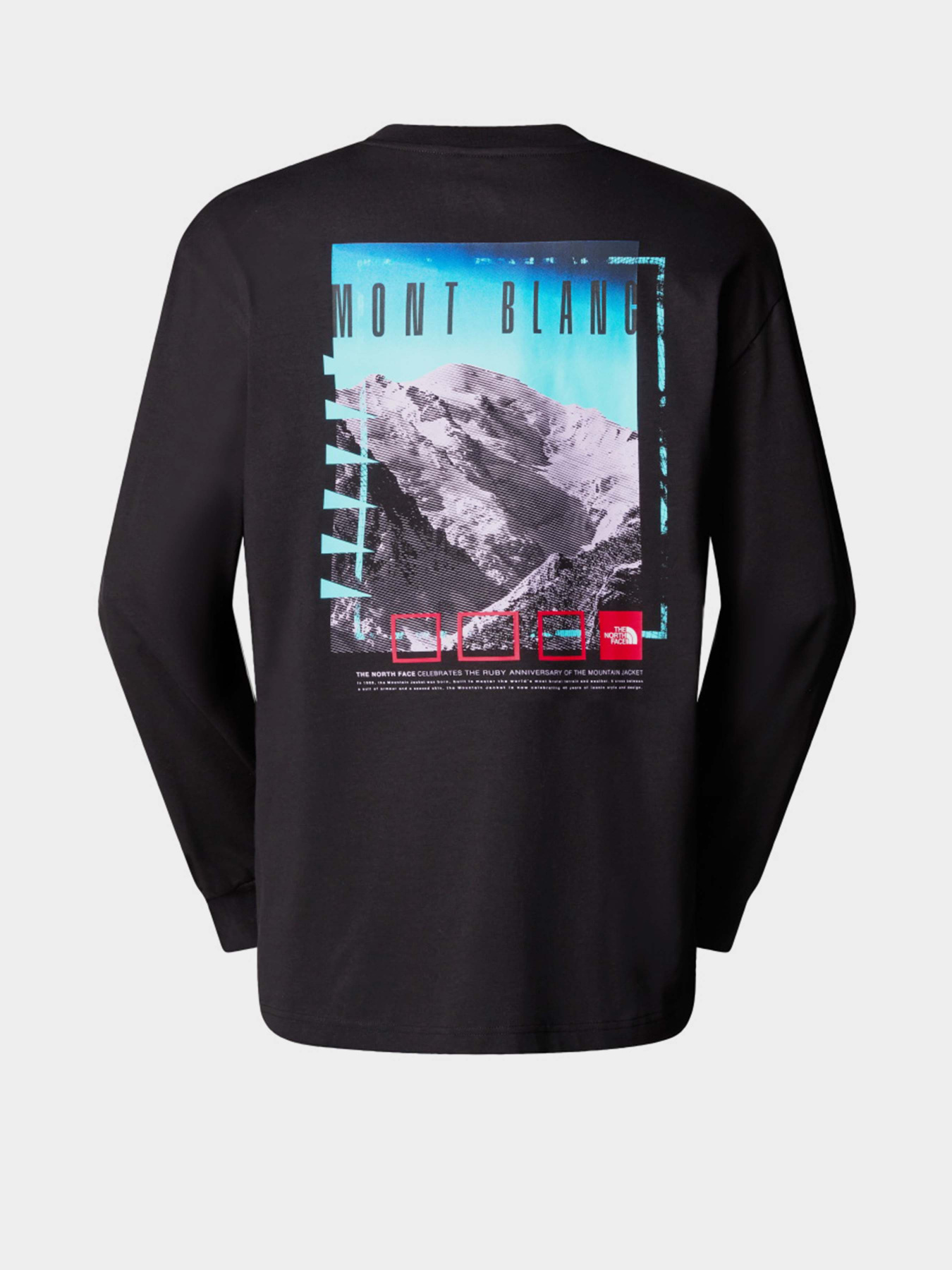 Лонгслів The North Face Axys модель NF0A8C1TJK31 Фото