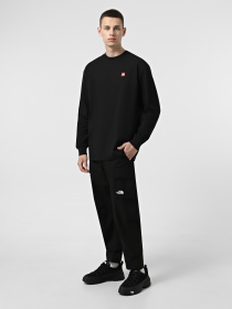 Лонгслів The North Face Axys модель NF0A8C1TJK31 Фото