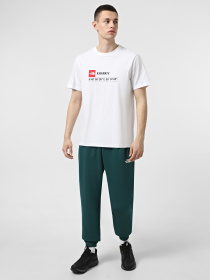 Футболка The North Face GPS Tee Kharkiv модель NF0A8FZEFN41 Футболка The North Face GPS Tee Kharkiv модель NF0A8FZEFN41 Фото