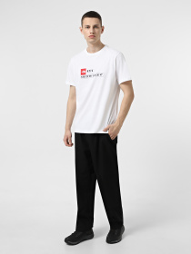 Футболка The North Face GPS T-Shirt Kyiv модель NF0A8FZDFN41 Фото