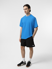 Футболка The North Face Zumu модель NF0A87DDT4S1 Фото