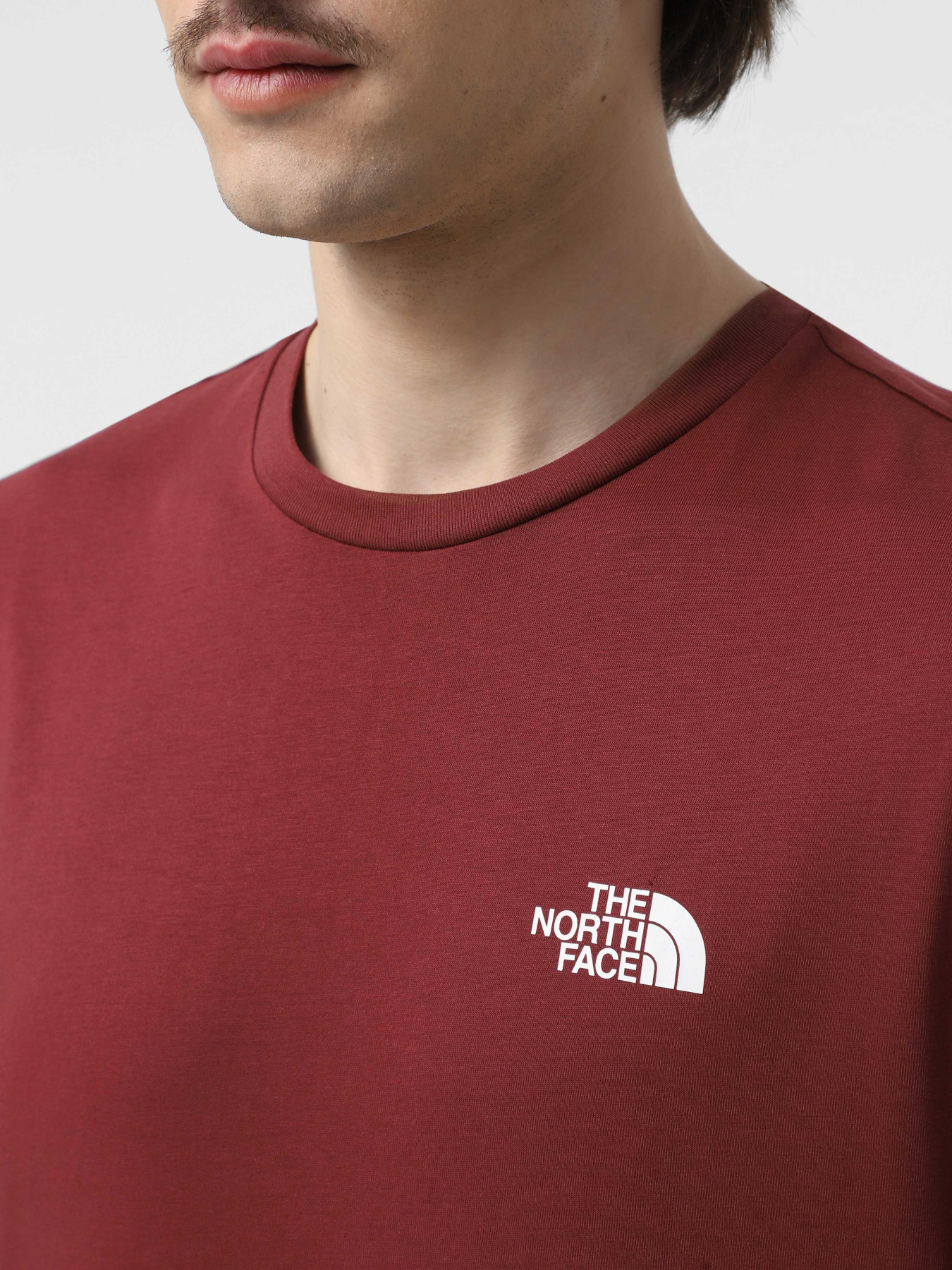 Футболка The North Face Simple Dome модель NF0A87NG0VO1 Фото
